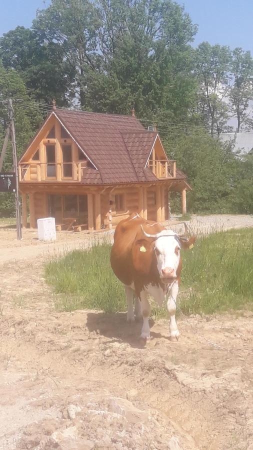 Dzianisz Nad Termami 빌라 외부 사진